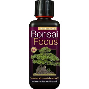 Bonsai Focus 300 ml